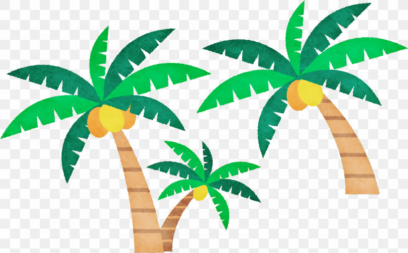 Palm Trees, PNG, 1600x994px, Palm Trees, Cartoon, Conifers, Drawing, Leaf Download Free