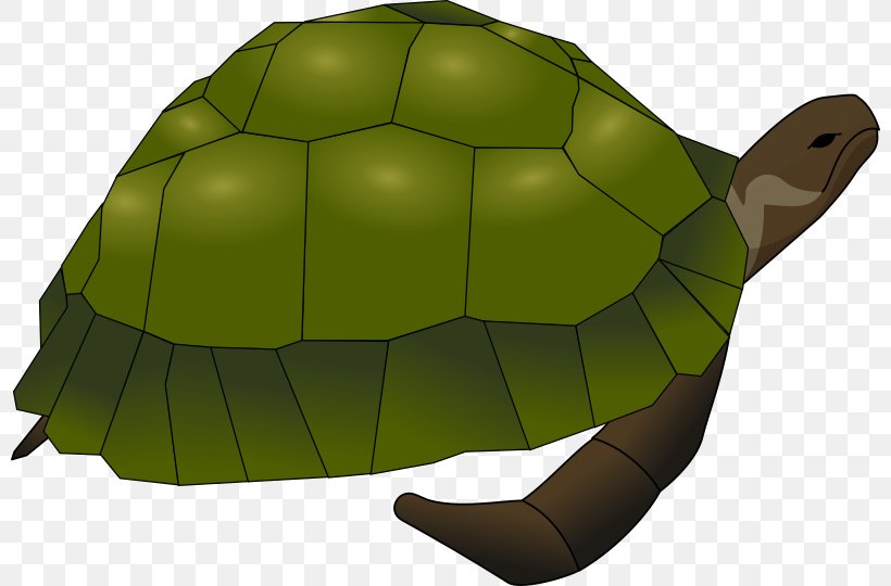 Sea Turtle Common Snapping Turtle Clip Art, PNG, 800x540px, Turtle, Alligator Snapping Turtle, Common Snapping Turtle, Fauna, Green Sea Turtle Download Free