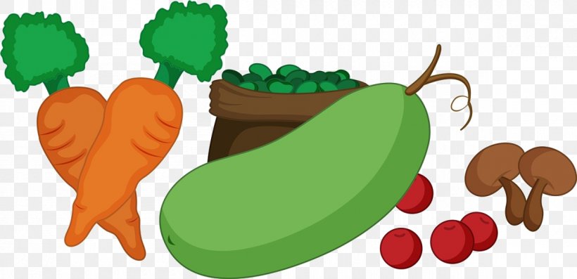 Software Vegetable Cartoon, PNG, 1200x582px, Software, Adobe Systems, Cartoon, Color, Creative Work Download Free