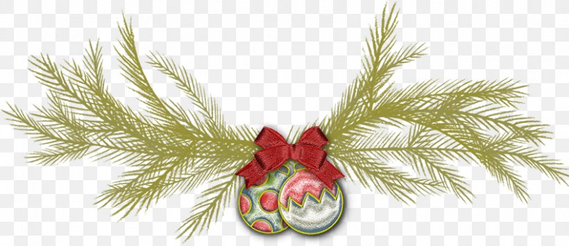 Christmas Ornament Fir Spruce Pine, PNG, 847x367px, Christmas Ornament, Branch, Christmas, Christmas Decoration, Conifer Download Free