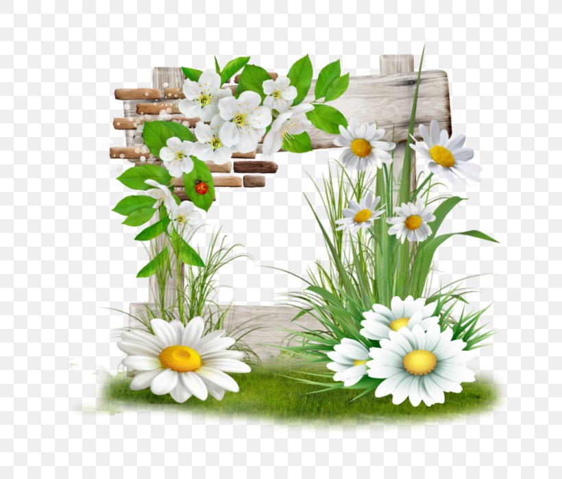 Image Floral Design Cut Flowers Illustration, PNG, 661x699px, Floral Design, Brownie Kuzya, Chamaemelum Nobile, Child, Cut Flowers Download Free