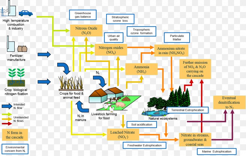 Nitrogen Cycle Ecosystem Reactive Nitrogen Ammonium Nitrate, PNG, 1409x892px, Nitrogen, Ammonium Nitrate, Area, Atmosphere Of Earth, Denitrifying Bacteria Download Free