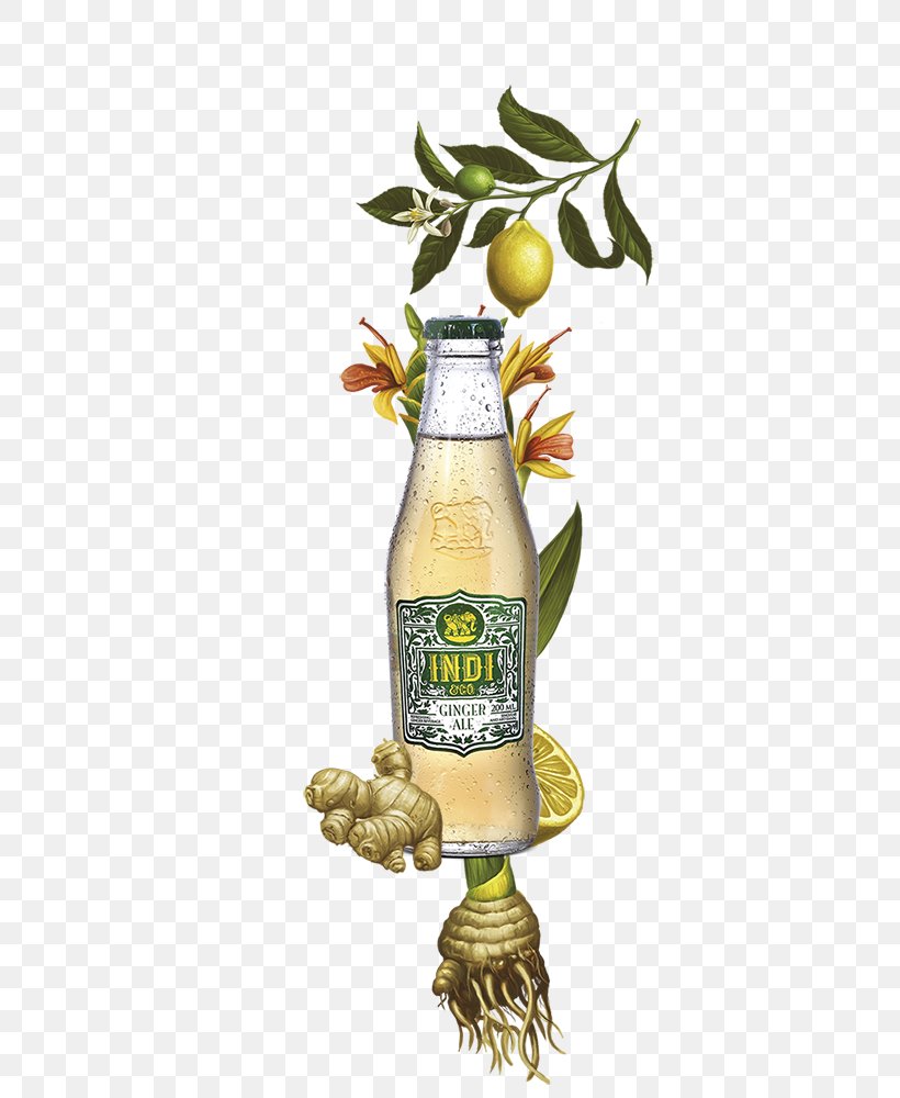 Olive Oil Tonic Water Ginger Ale Vegetable Oil, PNG, 390x1000px, Olive Oil, Cooking Oil, Food, Ginger Ale, Oil Download Free
