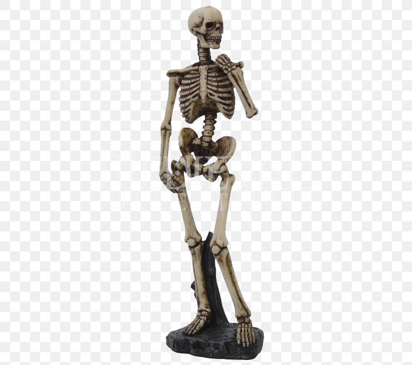 David Human Skeleton Skull Figurine, PNG, 726x726px, David, Bone, Bronze Sculpture, Classical Sculpture, Figurine Download Free