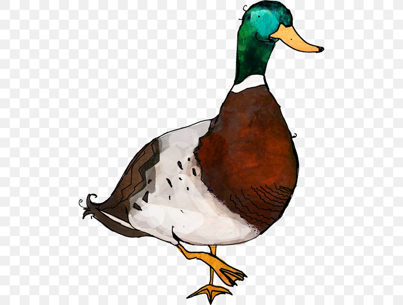 Mallard Goose Duck Art, PNG, 500x620px, Mallard, Art, Artist, Beak, Bird Download Free
