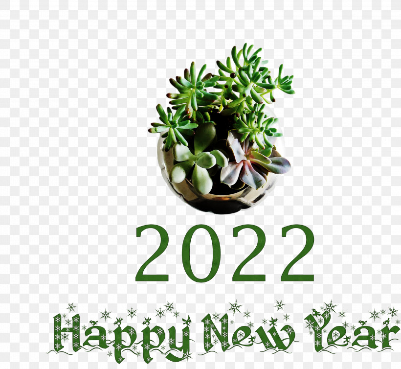 2022 Happy New Year 2022 New Year 2022, PNG, 2999x2758px, Plant, Biology, Flowerpot, Meter, Science Download Free