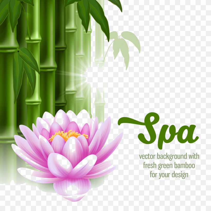 Spa Stone Massage Clip Art, PNG, 1000x1000px, Spa, Bamboo, Bamboo Massage, Day Spa, Flora Download Free