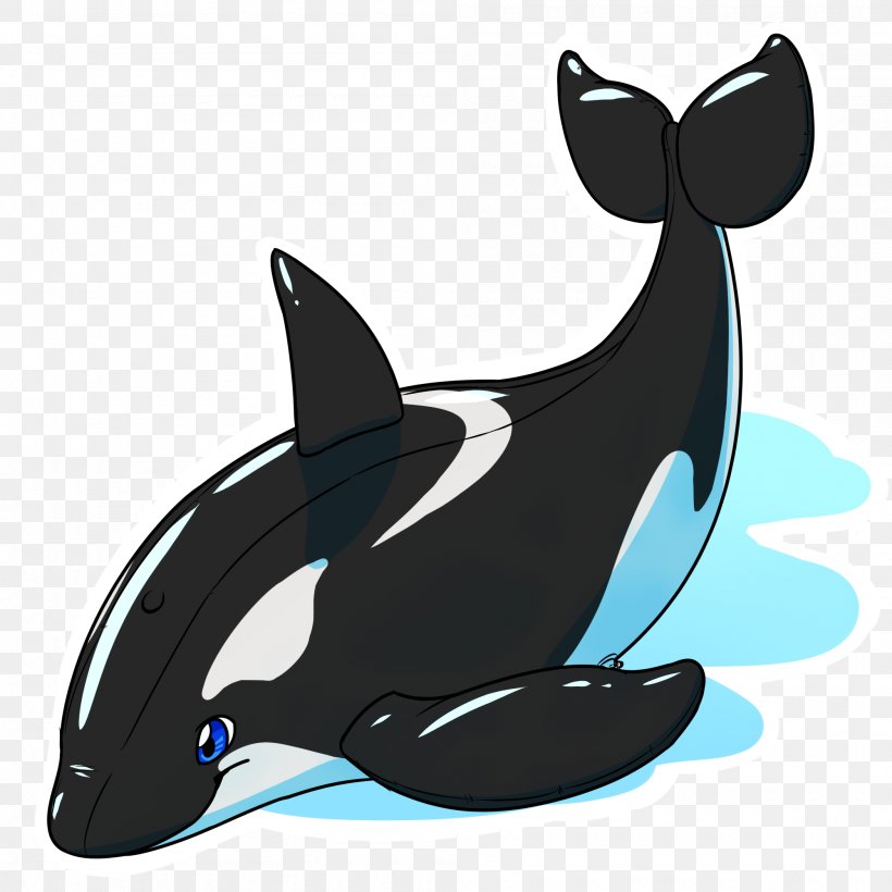 Dolphin Killer Whale Cetacea Sieo New York, PNG, 2000x2000px, Dolphin, Cetacea, Fauna, Fish, Fur Download Free