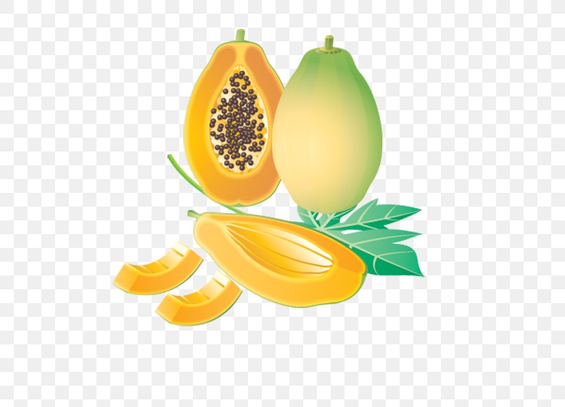 Papaya Tropical Fruit Clip Art, PNG, 591x591px, Papaya, Citric Acid, Citrus, Diet Food, Drawing Download Free
