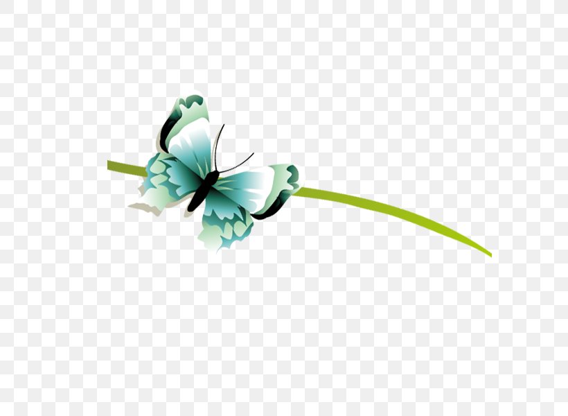 Butterfly, PNG, 600x600px, Butterfly, Animation, Cartoon, Designer, Flower Download Free