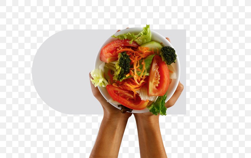 Dieting Food Health Nutrition Hand, PNG, 714x516px, Dieting, Diet, Diet Food, Dish, Eating Download Free