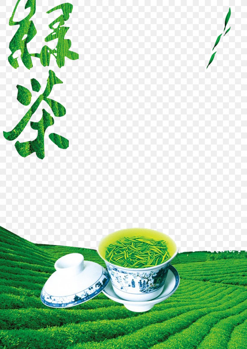 Green Tea Longjing Tea Tieguanyin Cha Pu, PNG, 1000x1414px, Tea, Black Tea, Cha Pu, Chinese Tea, Coffee Cup Download Free