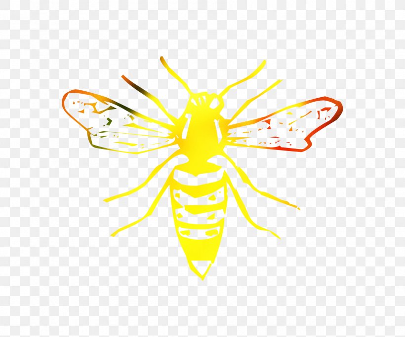 Clip Art Honey Bee Vector Graphics Illustration Image, PNG, 1800x1500px, Honey Bee, Bee, Email, Honeybee, Insect Download Free