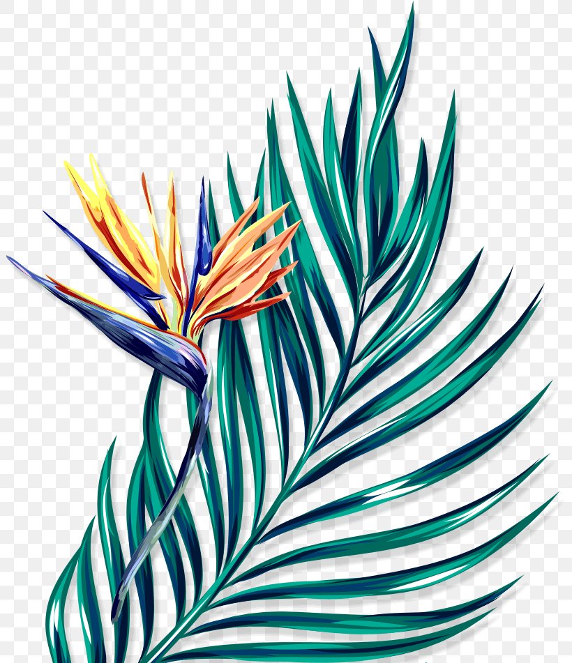 Clip Art Illustration Sparks Yoga Leaf, PNG, 804x951px, Leaf, Bird Of Paradise, Blog, Botany, Flower Download Free