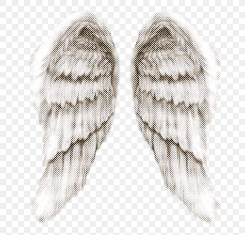 Feather, PNG, 700x788px, Wing, Angel, Earrings, Feather, Fur Download Free