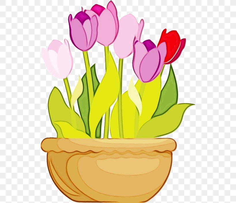 Flowerpot Pink Flower Pot Tulip Houseplant, PNG, 536x705px, Watercolor, Cut Flowers, Flower, Flowerpot, Garden Download Free