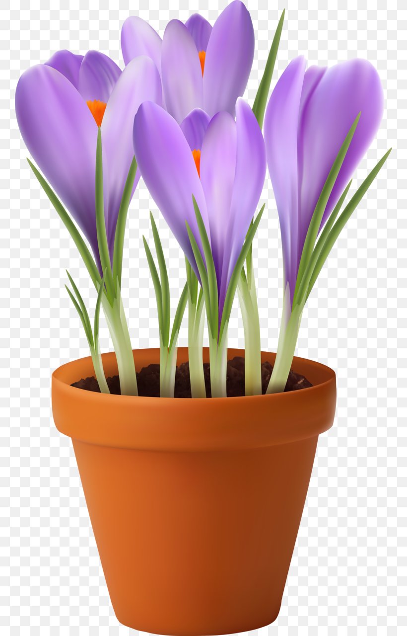Flowerpot Stock Photography Flower Garden Vase, PNG, 760x1280px, Flowerpot, Crocus, Flower, Flower Garden, Flowering Plant Download Free