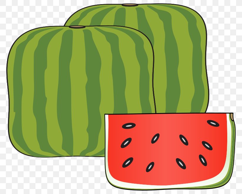 Watermelon Honeydew Cucurbitaceae Cucumber, PNG, 800x657px, Watermelon, Citrullus, Cucumber, Cucumber Gourd And Melon Family, Cucurbitaceae Download Free