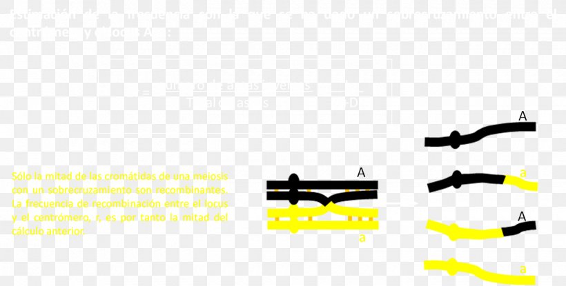 Brand Line Angle Technology, PNG, 1440x729px, Brand, Diagram, Technology, Text, Yellow Download Free