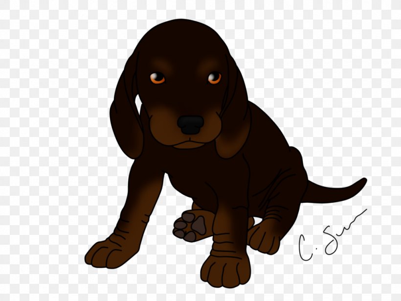 Dog Breed Black And Tan Coonhound Puppy Field Spaniel Boykin Spaniel, PNG, 1024x768px, Dog Breed, Animal, Basset Hound, Black And Tan Coonhound, Bluetick Coonhound Download Free