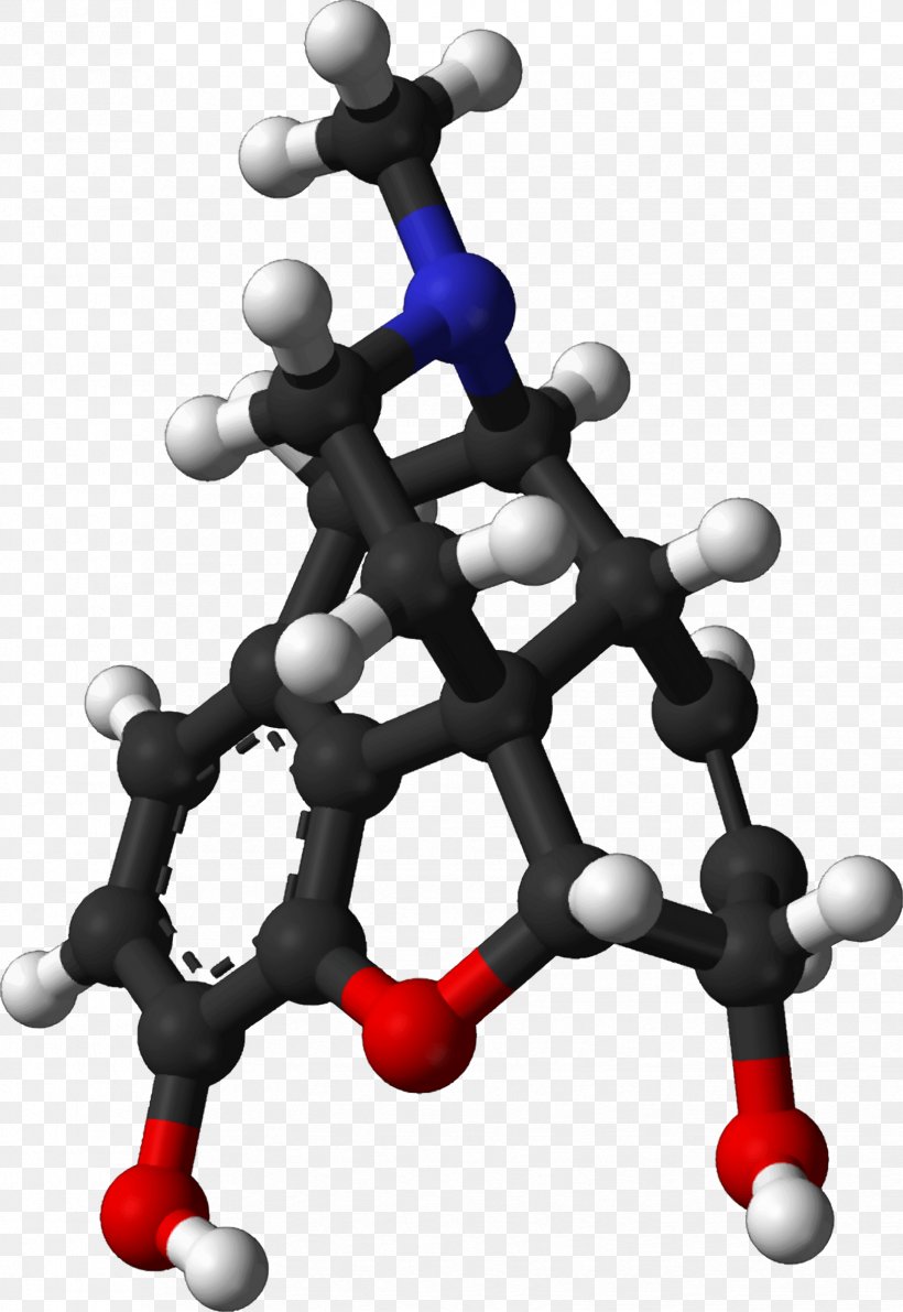 Endorphins Morphine Opioid Chemistry Molecule, PNG, 1652x2400px, Endorphins, Alkaloid, Chemical Compound, Chemical Database, Chemical Substance Download Free