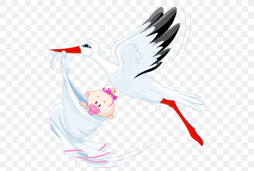 Royalty-free Infant Clip Art, PNG, 504x552px, Royaltyfree, Art, Beak, Bird, Child Download Free