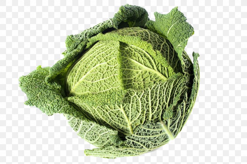 Savoy Cabbage Kale Collard Greens, PNG, 1024x683px, Savoy Cabbage, Brassica Oleracea, Cabbage, Collard Greens, Gratis Download Free