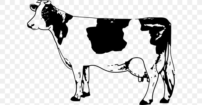 Angus Cattle Clip Art, PNG, 600x427px, Angus Cattle, Art, Black And White, Blog, Bull Download Free