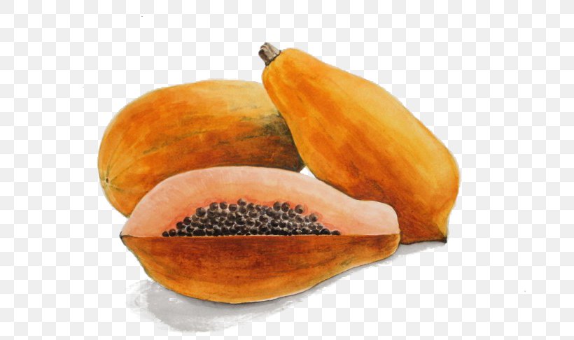 Papaya Watercolor Painting Fruit, PNG, 688x486px, Papaya, Auglis, Commodity, Drawing, Food Download Free