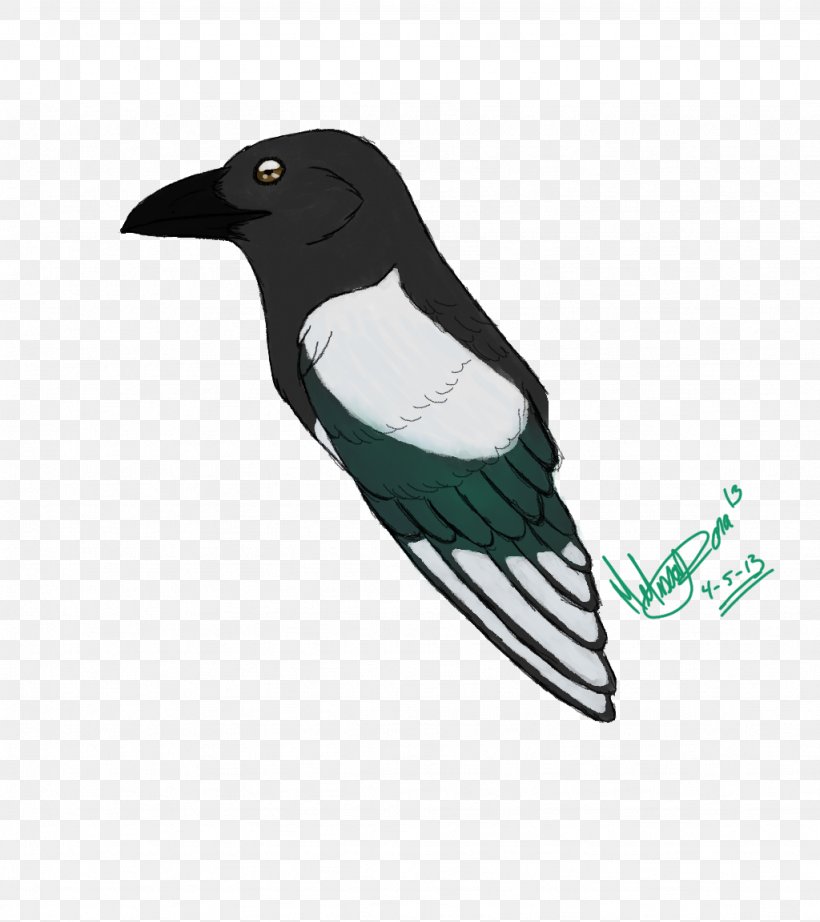 Beak Bird Feather Wing, PNG, 1024x1152px, Beak, Bird, Crow Like Bird, Feather, Wing Download Free