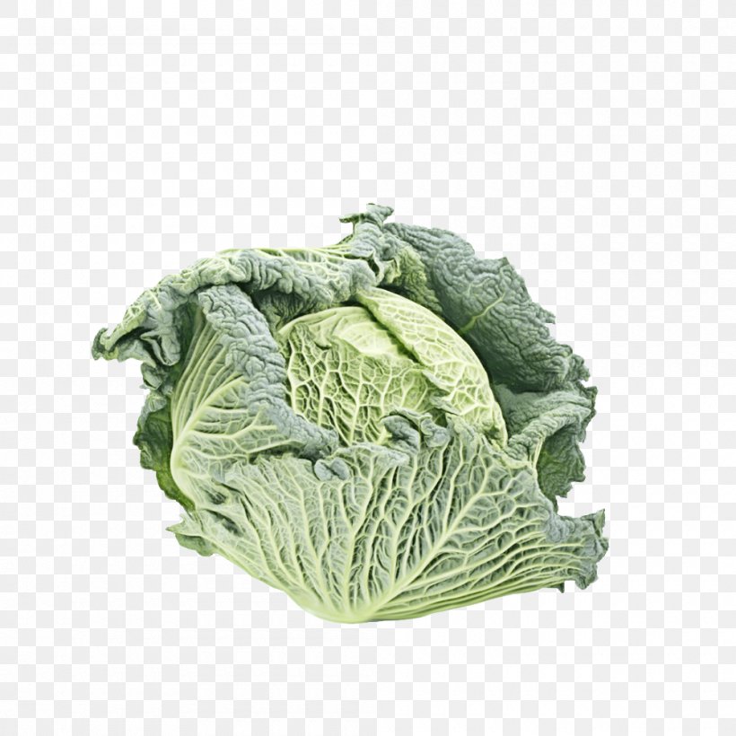 Cooking Cartoon, PNG, 1000x1000px, Savoy Cabbage, Bok Choi, Cabbage, Cabbages, Cauliflower Download Free