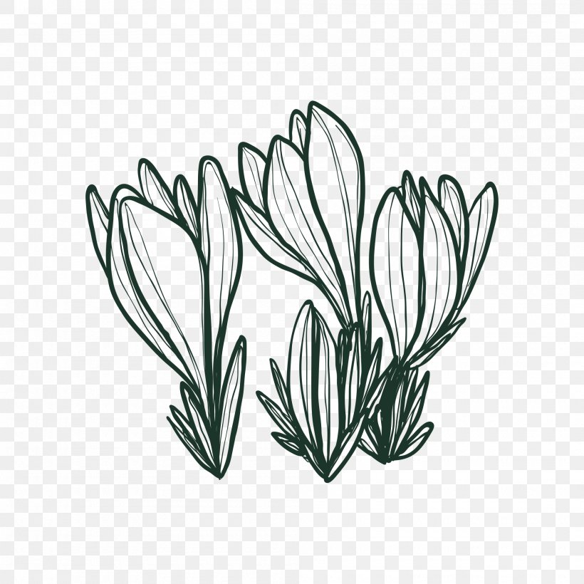 Drawing Vector Graphics Design Image Painting, PNG, 2000x2000px, Drawing, Art, Black And White, Branch, Flora Download Free