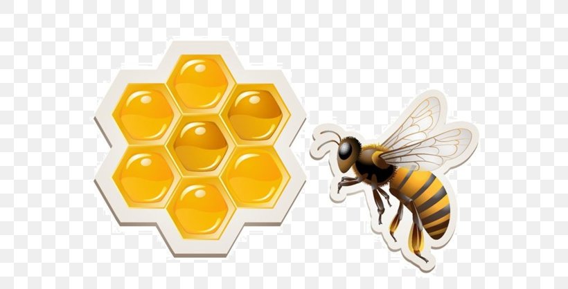 Western Honey Bee Honeycomb, PNG, 600x418px, Bee, Arthropod, Beehive, Beekeeping, Bumblebee Download Free