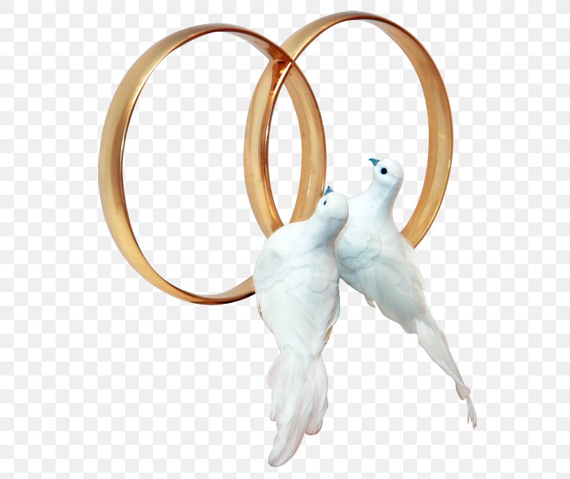 Columbidae Wedding Ring Clip Art, PNG, 600x689px, Columbidae, Beak, Bird, Body Jewelry, Engagement Download Free