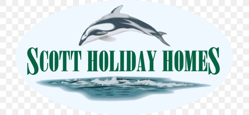 Common Bottlenose Dolphin Logo Brand Water, PNG, 717x380px, Common Bottlenose Dolphin, Advertising, Bottlenose Dolphin, Brand, Dolphin Download Free