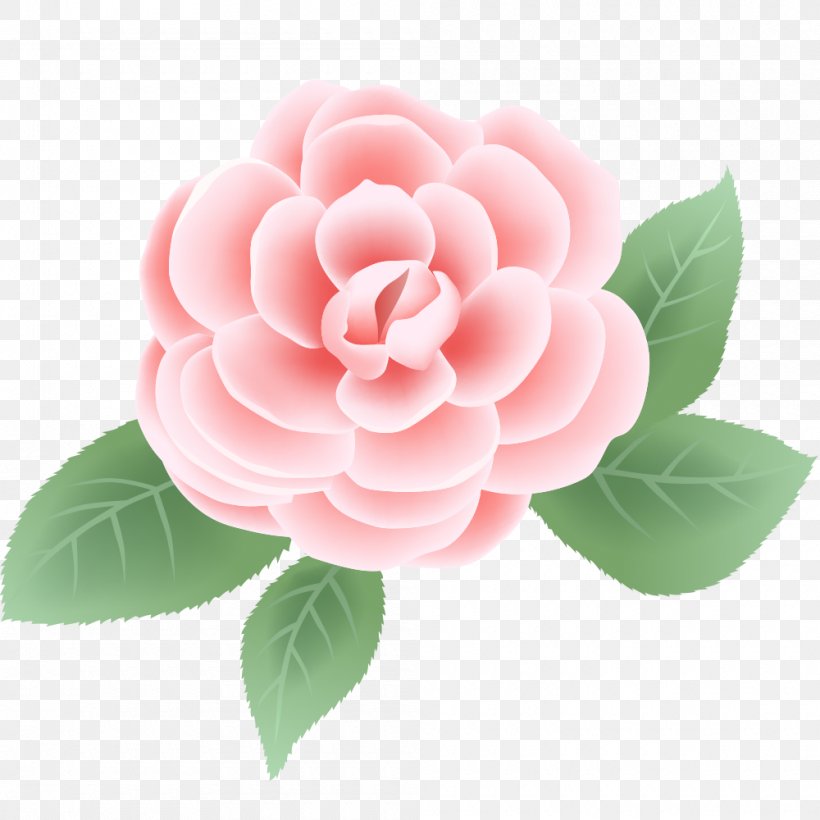 Floral Design Rose Flower Vector Graphics Clip Art, PNG, 1000x1000px, Floral Design, Camellia, Floristry, Flower, Flower Bouquet Download Free