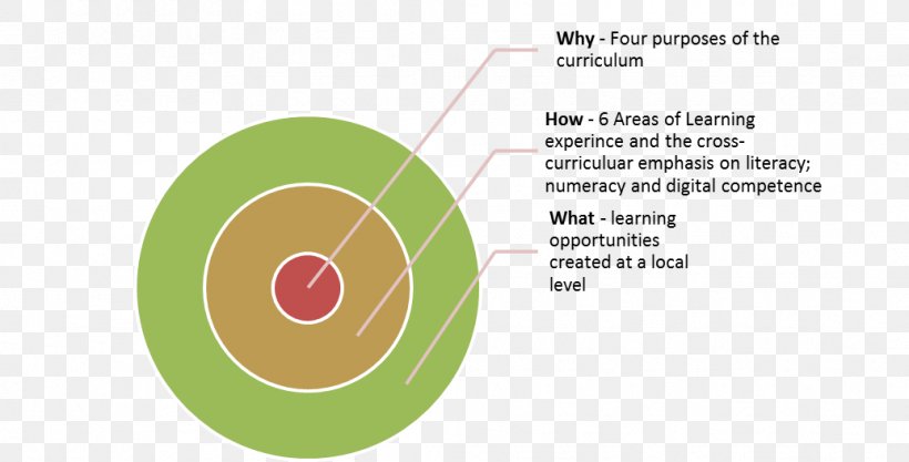 Pedagogy Educationalist Medicine Orthohantavirus Infection, PNG, 1036x527px, Pedagogy, Brand, Diagram, Educationalist, Gymnasium Download Free