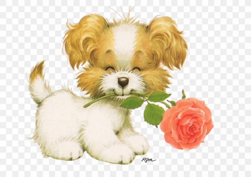 Cavachon Puppy Shih Tzu, PNG, 829x587px, Cavachon, Art, Blog, Carnivoran, Companion Dog Download Free