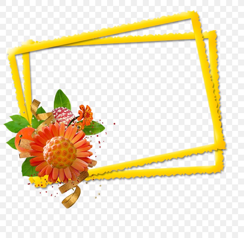 Image Flower Centerblog Design, PNG, 800x800px, Flower, Blog, Centerblog, Common Daisy, Floral Design Download Free
