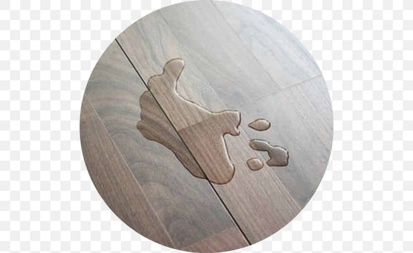 Laminate Flooring Wood Flooring Lamination, PNG, 504x504px, Laminate Flooring, Bathroom, Carpet, Floor, Flooring Download Free