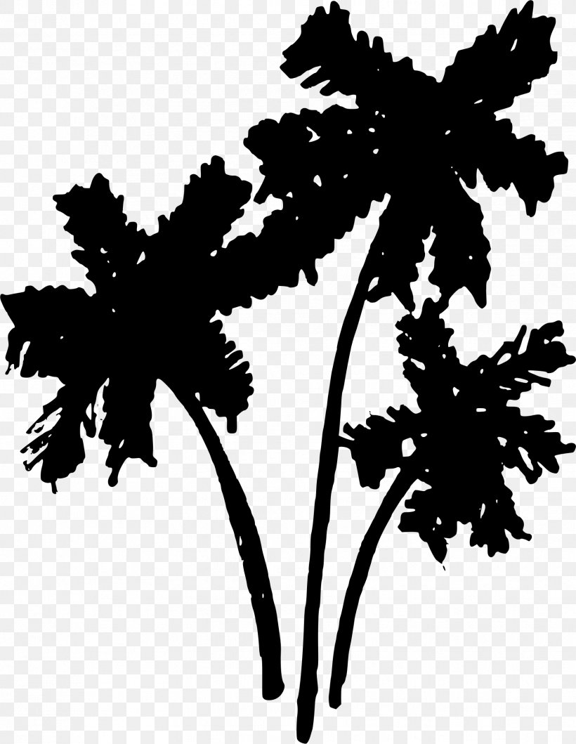 Tree Arecaceae Drawing Clip Art, PNG, 1758x2271px, Tree, Arecaceae, Black And White, Branch, Coconut Download Free