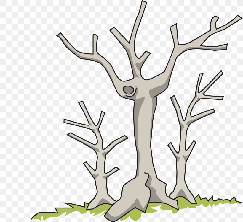 Tree Branch Clip Art, PNG, 2615x2400px, Tree, Antler, Artwork, Branch, Death Download Free