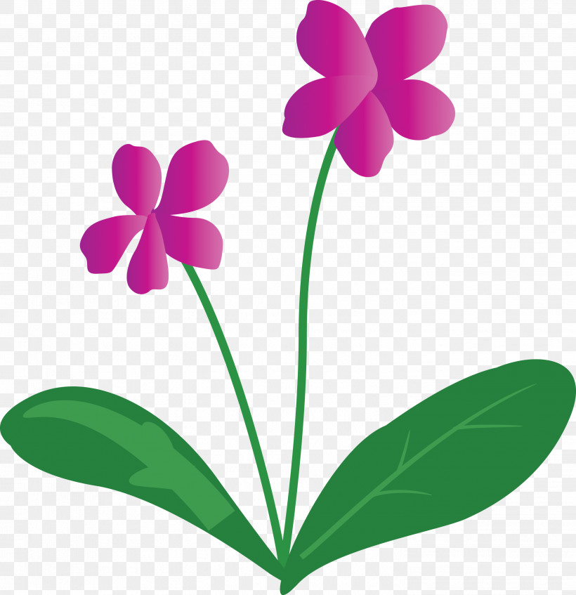 Violet Flower, PNG, 2902x3000px, Violet Flower, Biology, Flora, Flower, Herbaceous Plant Download Free