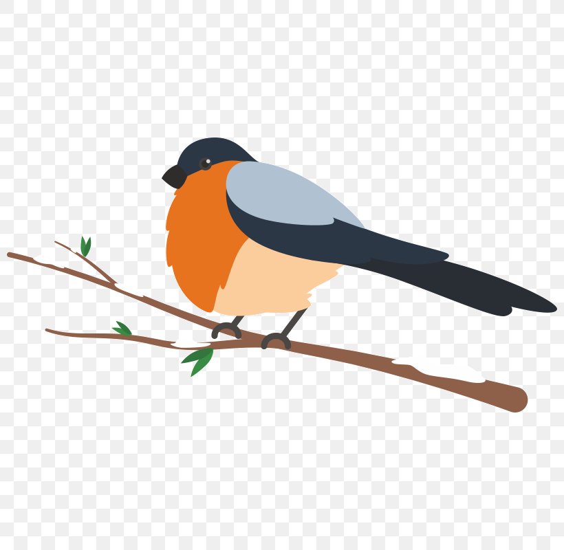 Bird Goose Parrot Clip Art, PNG, 800x800px, Bird, Beak, Bird Migration, Birdcage, Branch Download Free