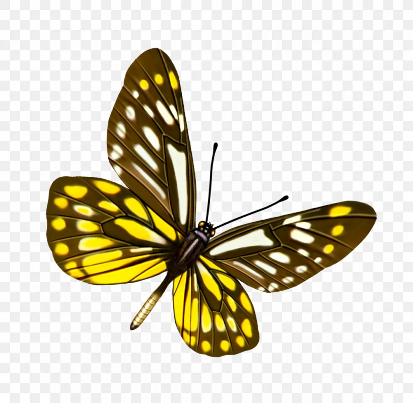 Butterfly Clip Art, PNG, 995x971px, Butterfly, Arthropod, Brush Footed Butterfly, Insect, Invertebrate Download Free