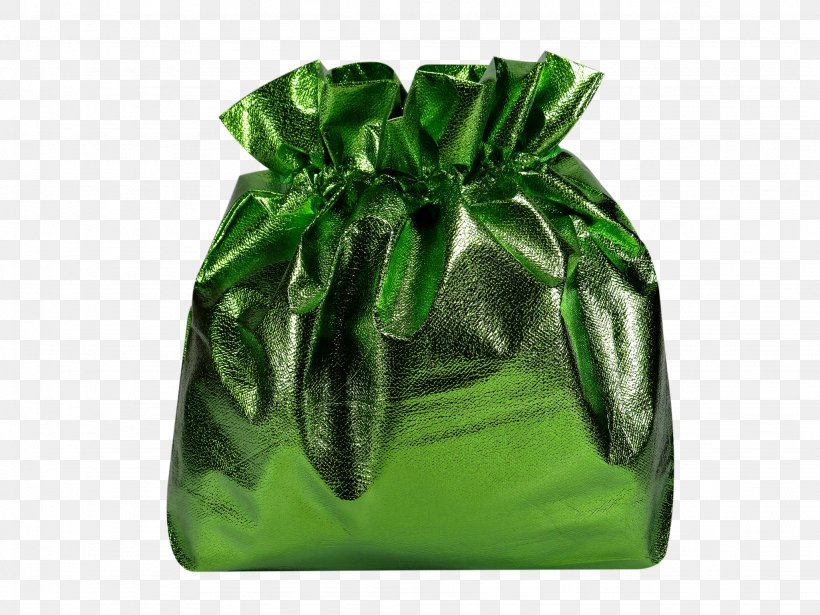 Handbag Leaf Product, PNG, 2048x1536px, Handbag, Green, Leaf Download Free