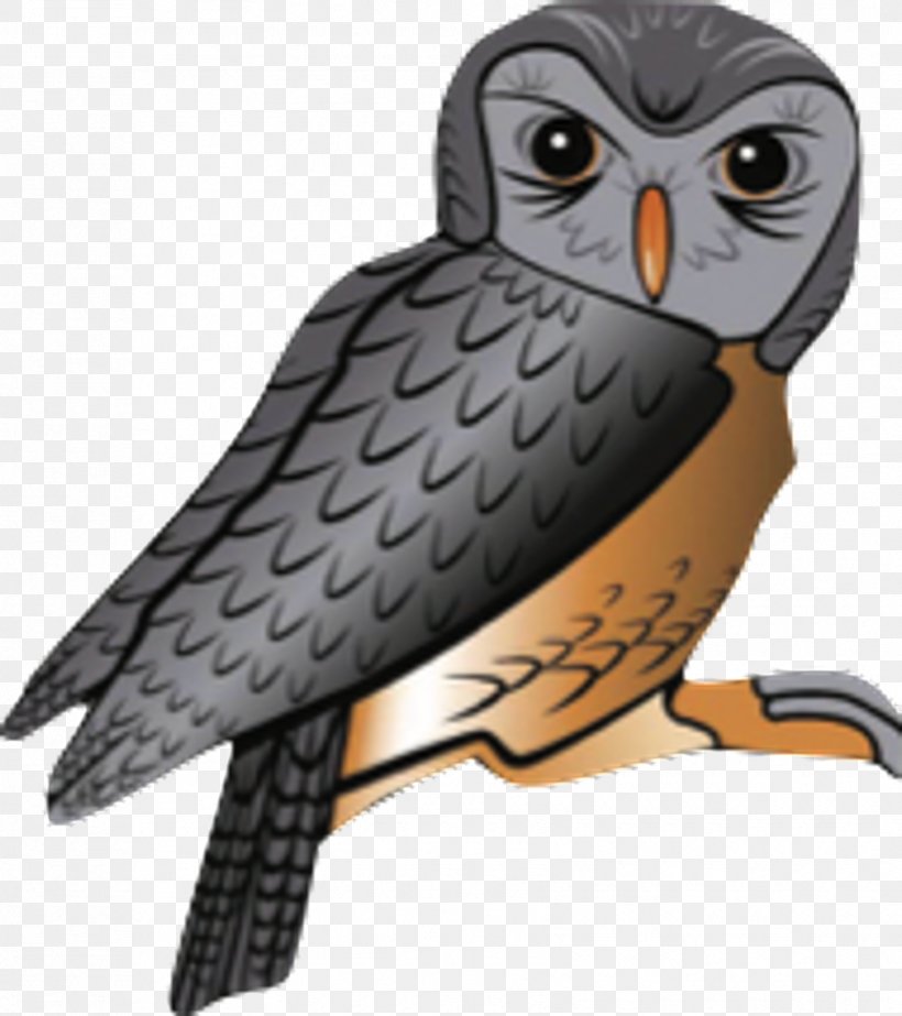 Owl Hawk Falcon Beak, PNG, 1705x1920px, Owl, Beak, Bird, Bird Of Prey, Falcon Download Free