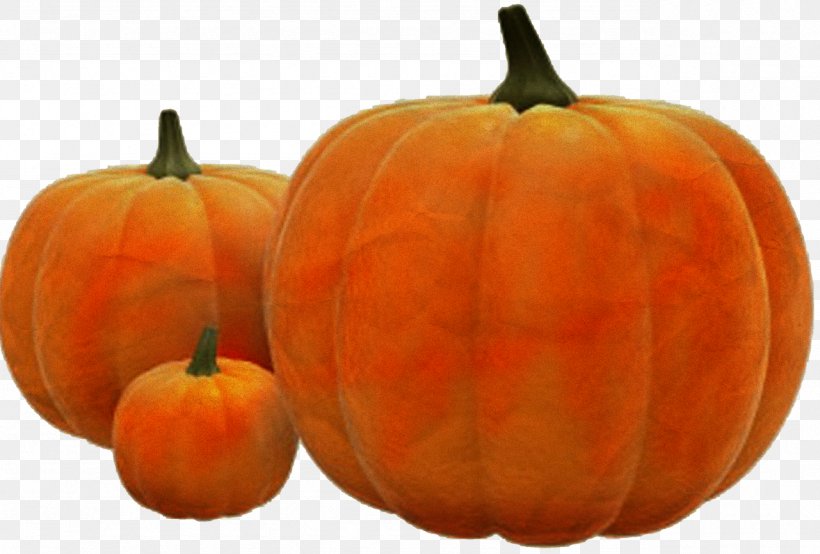 Pumpkins & Squashes Pumpkin Pie Vegetable Fruit, PNG, 1281x867px, Pumpkin, Calabaza, Carving, Cucumber Gourd And Melon Family, Cucurbita Download Free