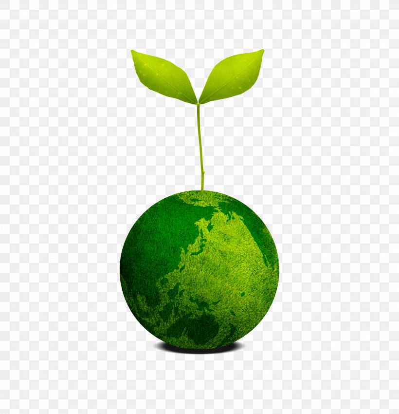 Arbor Day Creative, PNG, 2094x2172px, Arbor Day, Festival, Fruit, Green, Tree Download Free