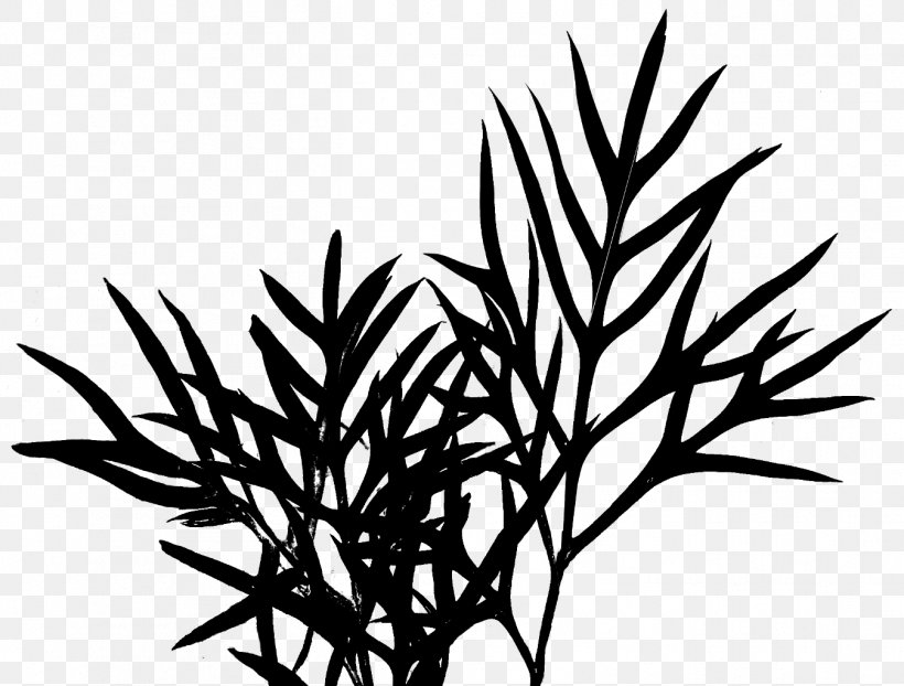 Clip Art Plant Stem Leaf Flower Commodity, PNG, 1348x1024px, Plant Stem, Blackandwhite, Botany, Branch, Commodity Download Free